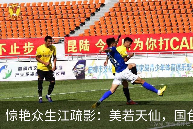 惊艳众生江疏影：美若天仙，国色天香。风华绝代，惊才绝艳！